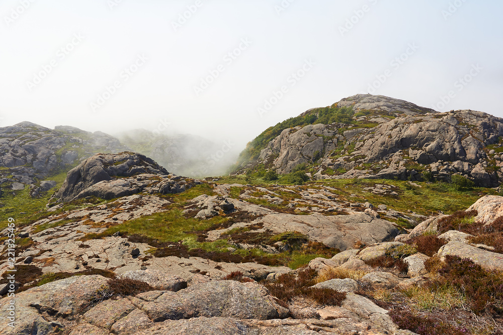 Nebel im sommerlichen Gebirge