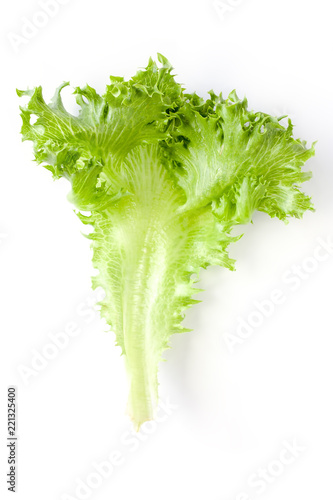Lettuce - ingredient of sal...