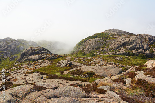 Nebel im sommerlichen Gebirge © Christian Buhtz