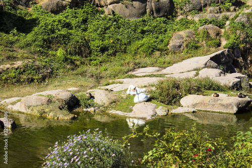 Sofiyivsky Park in Uman, Ukraine. Beautiful landscape.