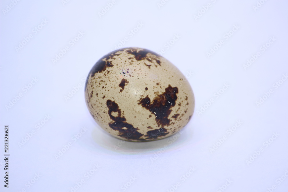 Quail egg on a white background Quail egg on a white background