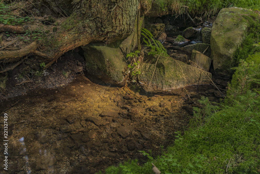 Small creek Slatinny in Krusne hory mountains Small creek Slatinny in Krusne hory mountains