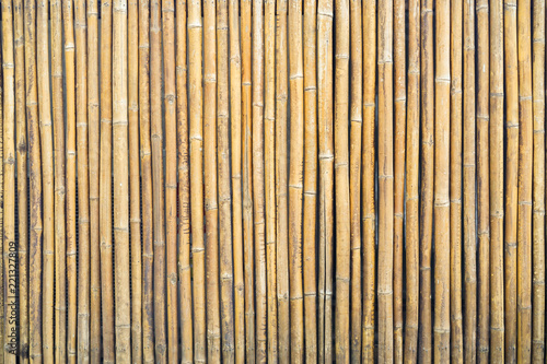 close up group of yellow brown bamboo background texture