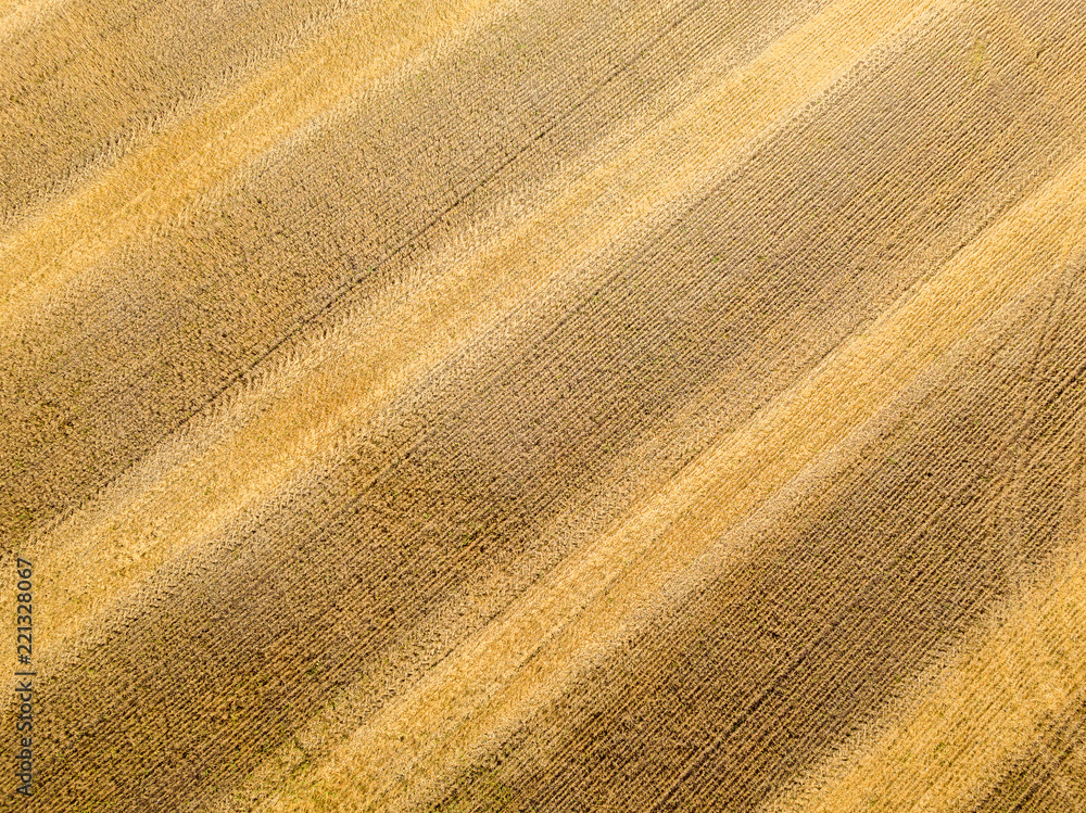 Aerial drone view, of the mowed fields of wheat. Background. Aerial drone view, of the mowed fields of wheat. Background.