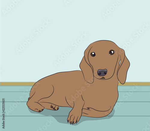 a dachshund dog is in the room, vector