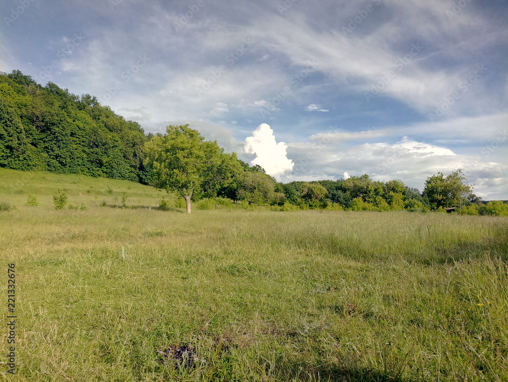 landscape landscape