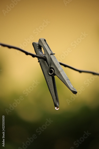 clothes peg on a line