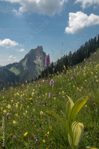 Montagne du Chablais en été , lac d' Arvouin , en Haute-Savoie, Alpes , France photo