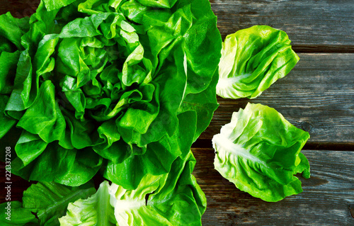 colorful and fresh of Butterhead lettuce with shadow on wooden background.
Green salad for healthy.