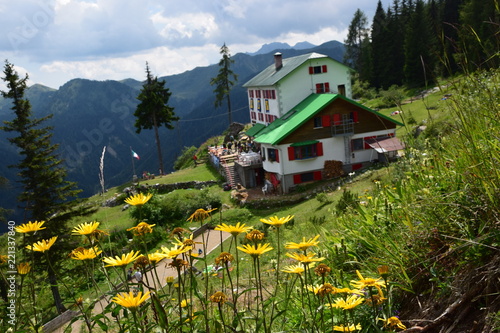 Prato Carnico - Rifugio De Gasperi photo