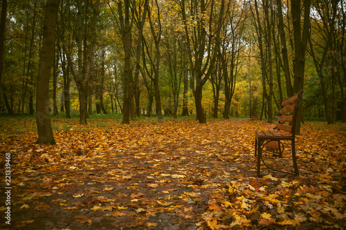 Autumn in the city park. The city of Khmelnitsky