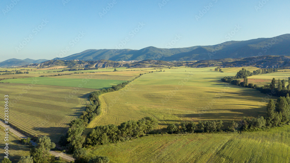 Air landscape of green fields