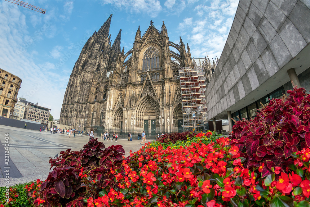Fototapeta premium Cologne Cathedral behind beautiful red flowers