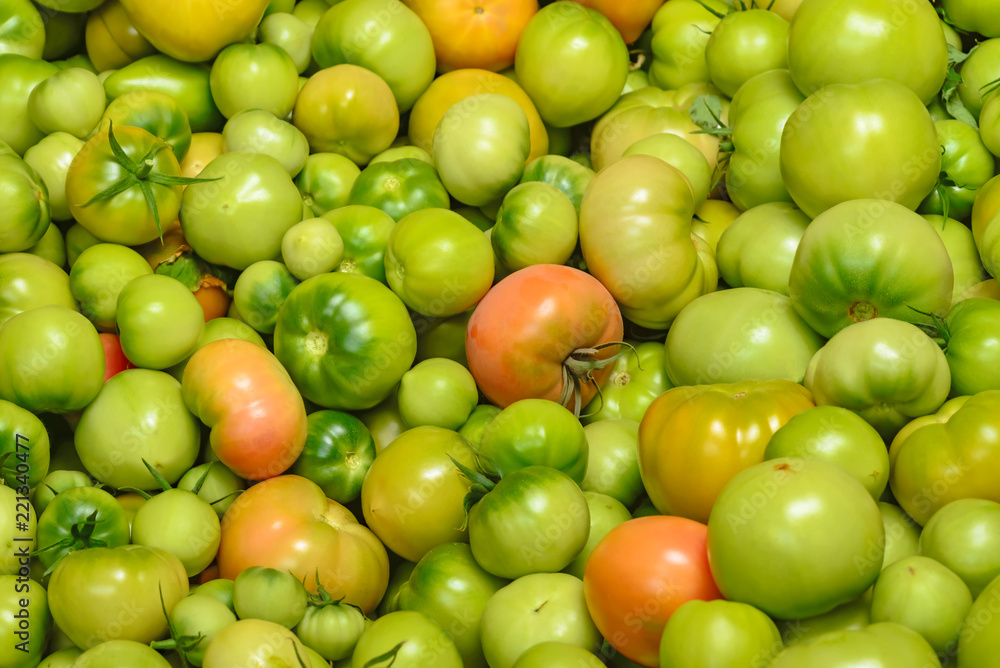 Tomatoes texture. Unripe green tomatoes
