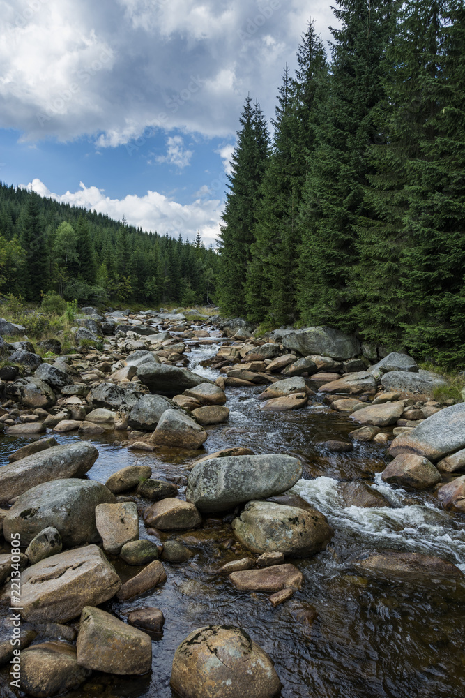 Border river with large stones in the water. Wild river flows through valley. Border river with large stones in the water. Wild river flows through valley.
