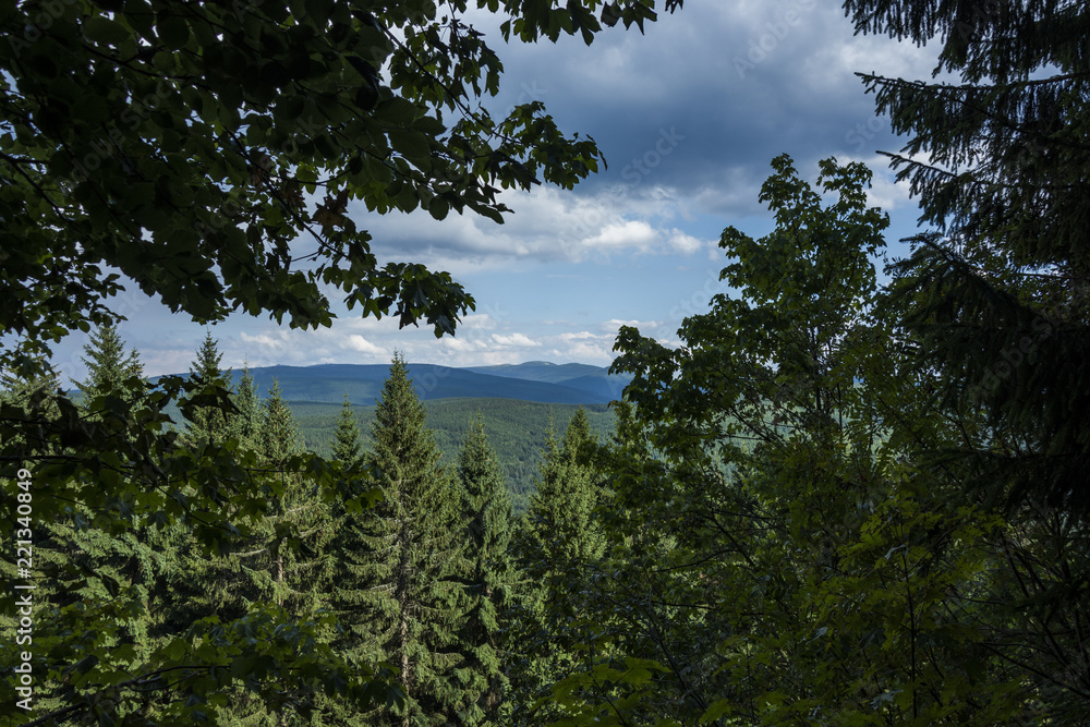 The view on the hill through window formed by branch of trees in the forest.