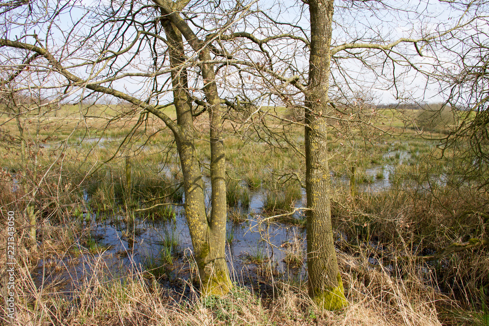 ein tümpel mitten auf einem feld umgeben von bäumen fotografiert während eines spaziergangs in der natur norddeutschlands mit weitwinkelobjektiv ein tümpel mitten auf einem feld umgeben von bäumen fotografiert während eines spaziergangs in der natur norddeutschlands mit weitwinkelobjektiv