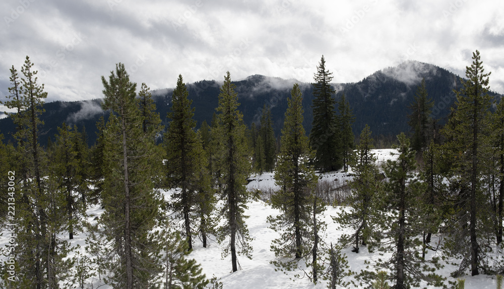 snow in mountains