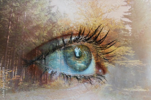 Fotografie Double exposure of human eye with autumnal forest on the background