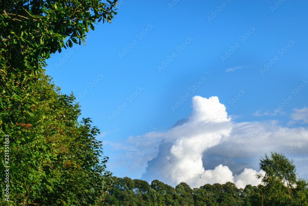 Obraz premium Clouds