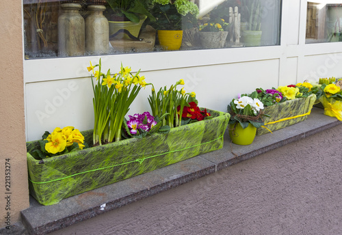 Pots and boxes with flowers on the street. photo