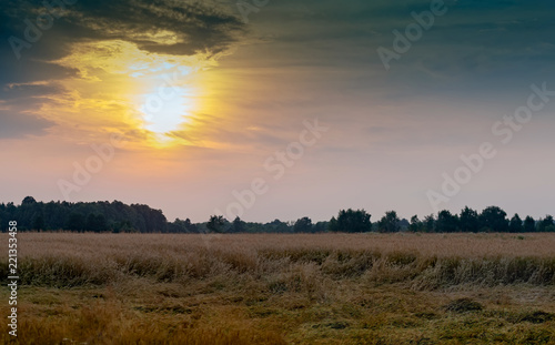 sunset over the field © Юлия Мальсагова