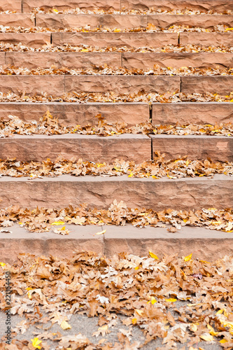 Autumn leaves on a terraced rock stairway.