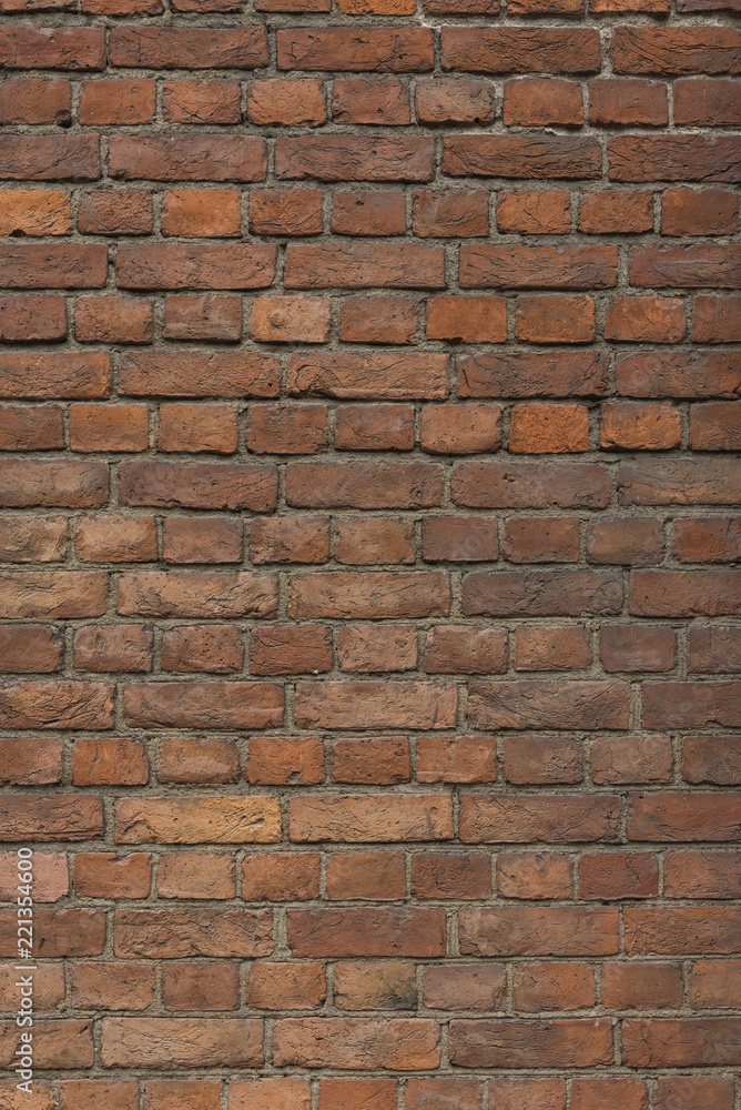 The background is an old brick wall. The background is an old brick wall.