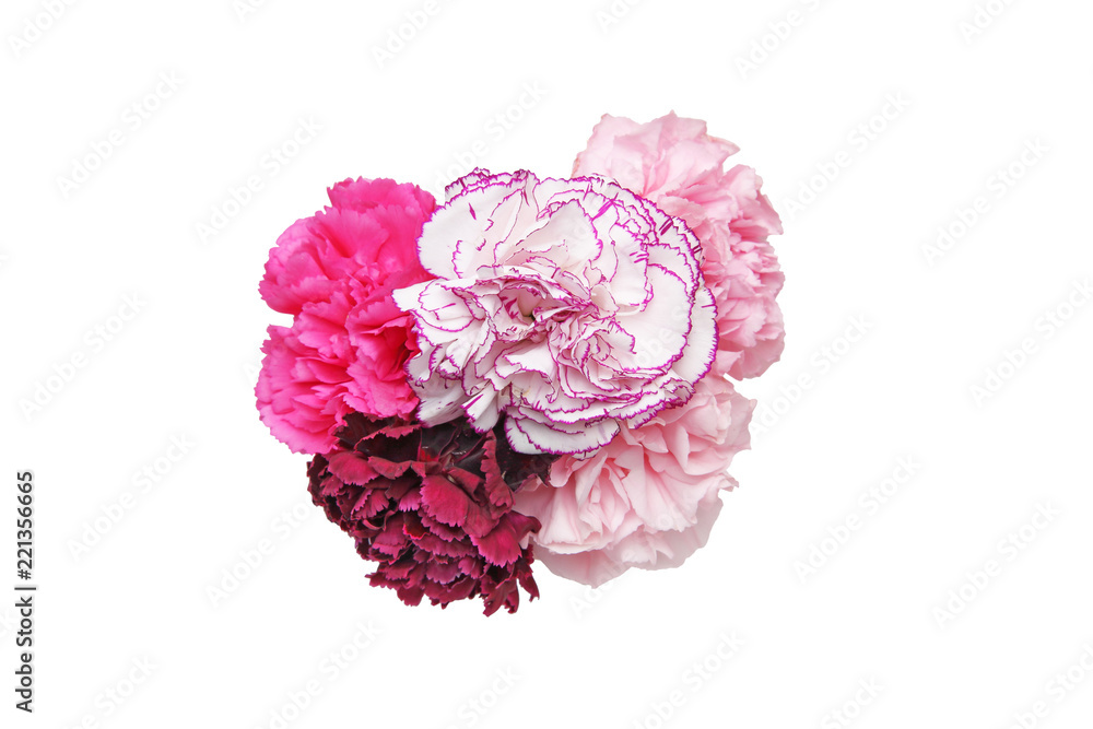 カーネーションの花束 カーネーションの花束