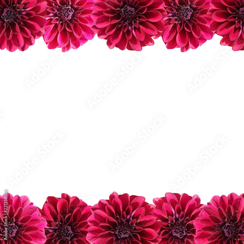 Fototapeta Naklejka Na Ścianę i Meble -  Beautiful floral background of burgundy dahlias
 