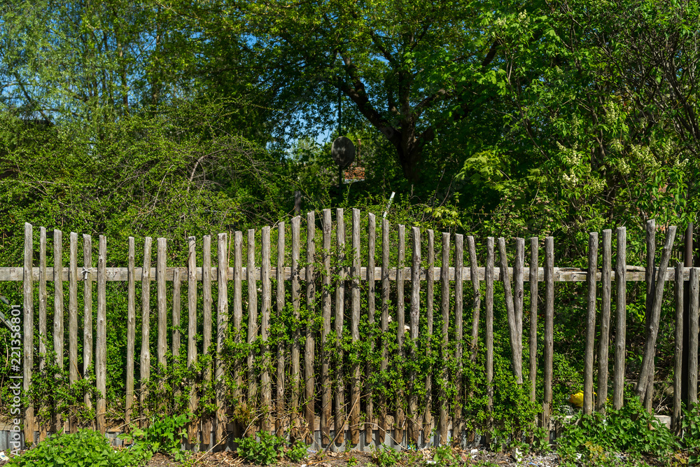 A wooden fence and an abandoned garden. A wooden fence and an abandoned garden.