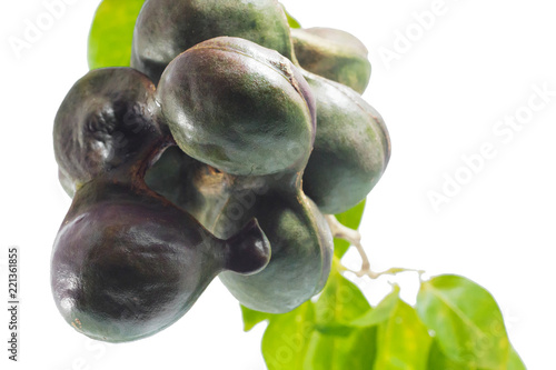 Vegetables in Southern Thailand popular white background, luk nieng, Djenkol bean fruit photo