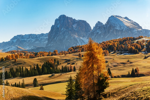 Valokuva Alpe di Siusi - Seiser Alm with Sassolungo - Langkofel mountain group in backgro