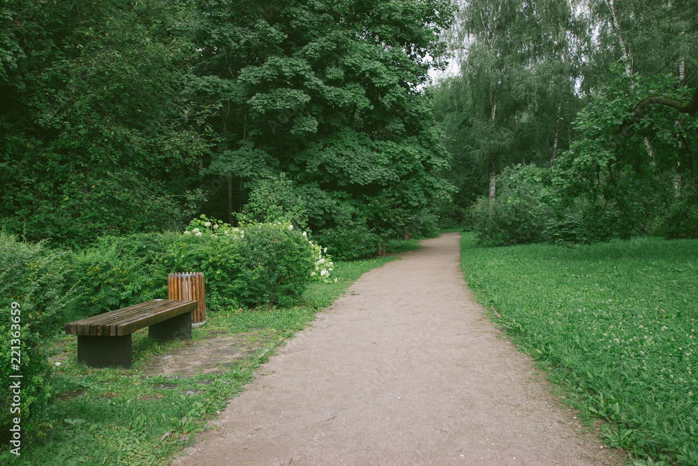 Ταπετσαρία forest park outdoor plants green trees moscow