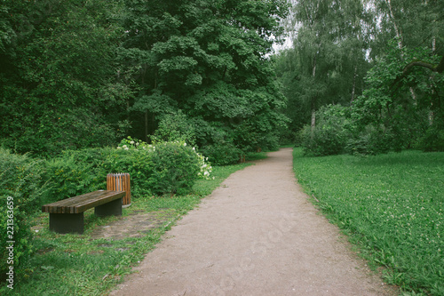 Canvas Print forest park outdoor plants green trees moscow