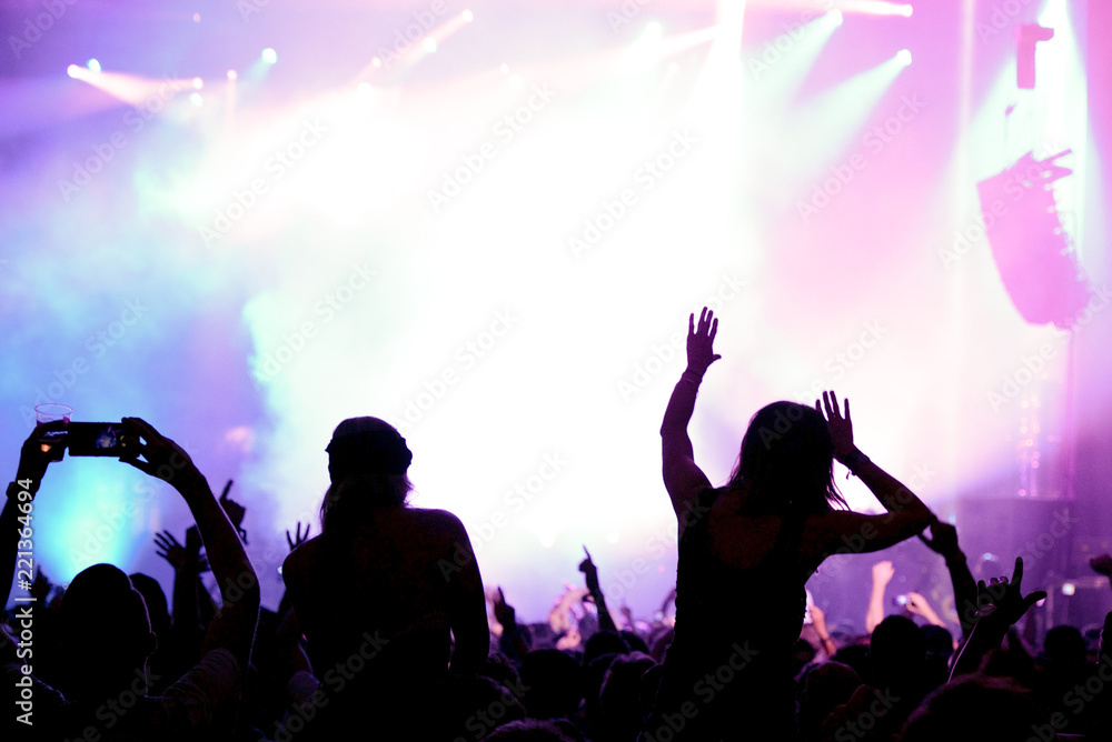 Crowd in a concert Crowd in a concert
