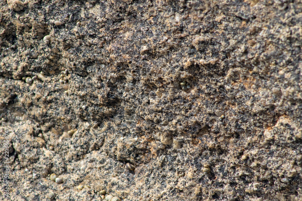 Closeup granite stone, summer sun, no people. Closeup granite stone, summer sun, no people.