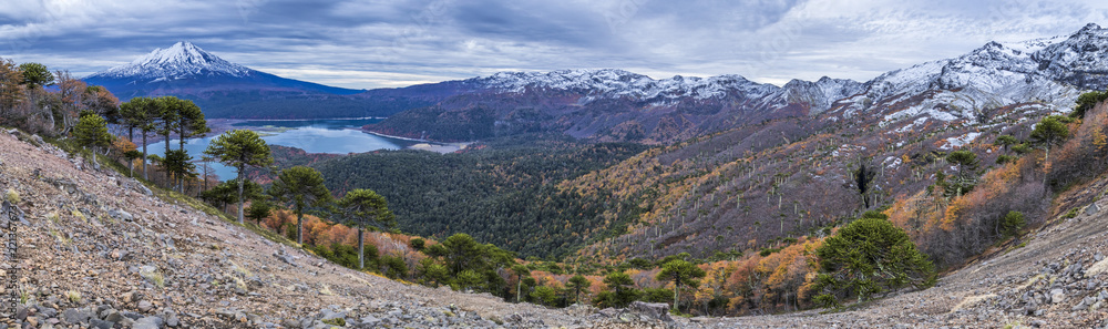 A view during Autumn Season of the incredible rainforests full of colors over the trees above the mountain lakes at Conguillio National Park an amazing colorful landscape, Chile
