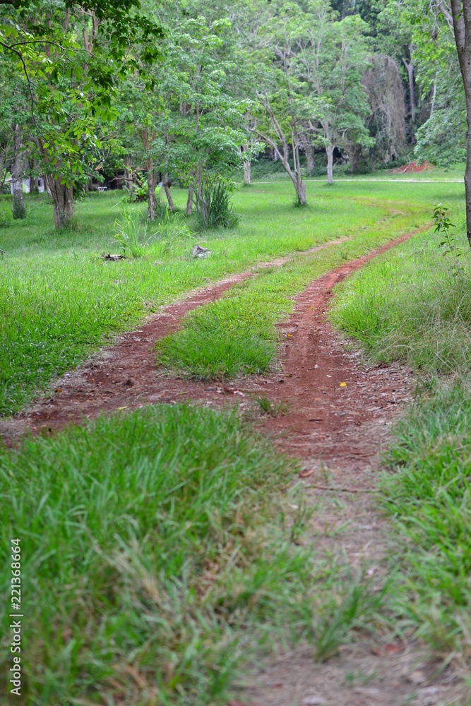 Obraz premium path in park