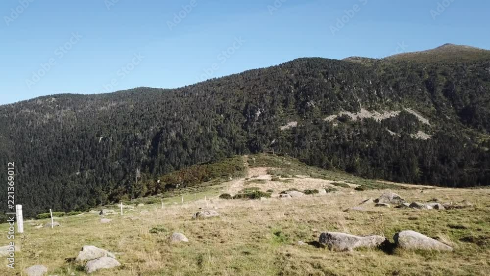 aerial view of wild pyrenean mountains and meadow filmed with drone, Aude in the south of France
aerial view of wild pyrenean mountains and meadow filmed with drone, Aude in the south of France