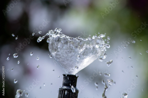 La fuente de la vida.