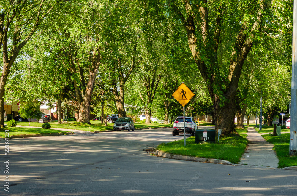 Summer view of a corner of a suburban tree lined shady street