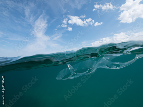 6 pack ring underwater plastic ocean © Jarrod