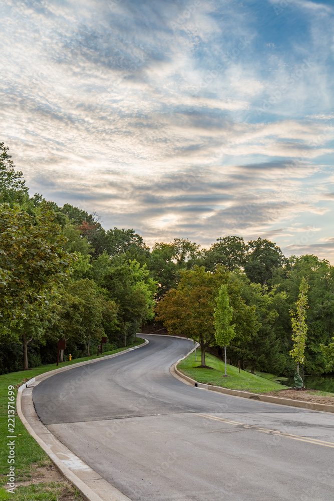 Fototapeta premium Winding Road Disappearing into the Forest on a Cloudy Evening