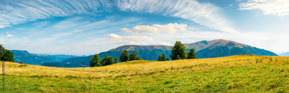 great panorama of mountainous landscape. gorgeous cloudscape above wide grassy meadow. mountain ridge with alpine meadows in the distance. wonderful sunny day and good weather for outdoor activities