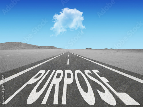 Purpose text on highway background