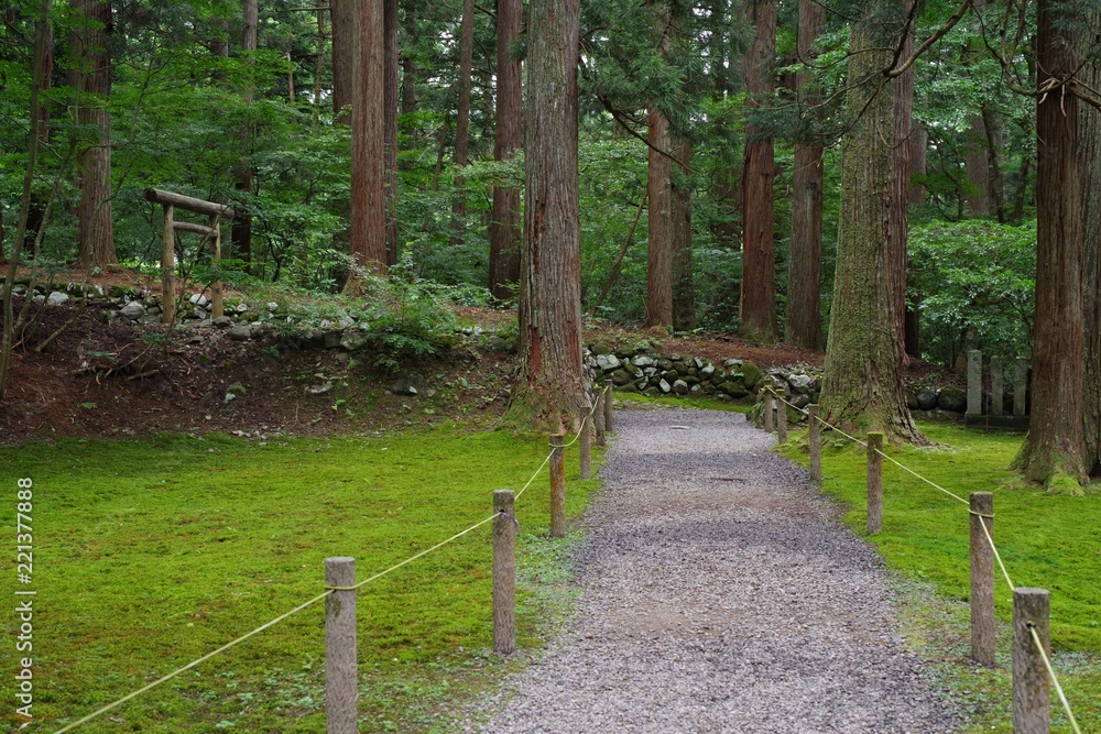 Fototapeta premium 苔が美しい日本の神社の境内