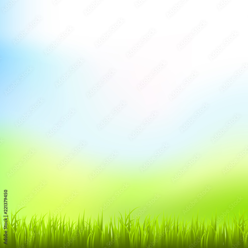detailed fresh green vector grass. Natural background The grass is in front.Gradient mesh tool.