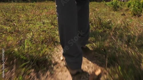 Wallpaper Mural A close up tracking shot of legs walking through grass in a forest Torontodigital.ca