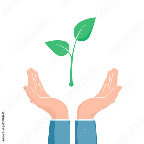 Plant growth between two hands. Eco symbol. Cupped hand that holds green plant seedling. Vector illustration